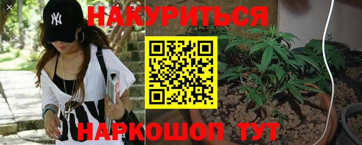 Шишки марихуана Ganja  Каннабис план  Люберцы  Вход с VPN  Шишки марихуана OG Kush 